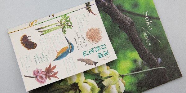 有靈魂的宣傳畫冊就應該這樣設計！-和印愛歐圖文